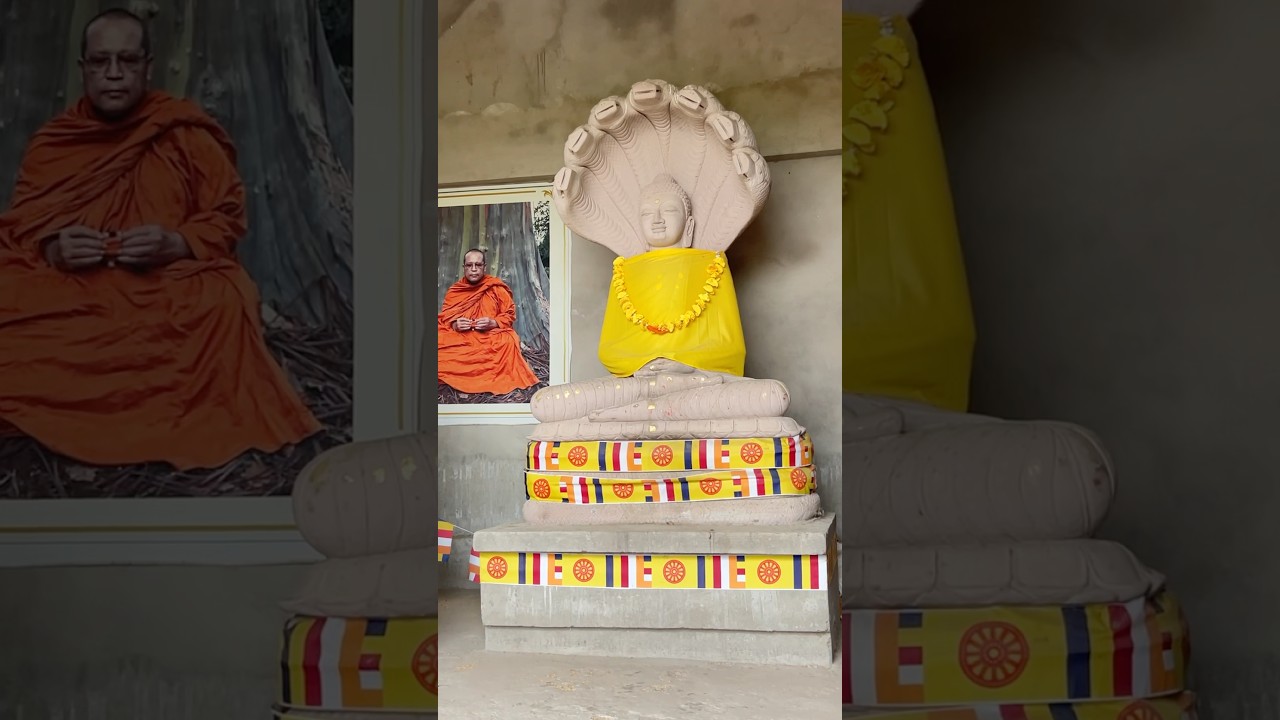 #trending #lordbuddha #fashiontrends #love #song #buddhansh #vlog #mahayanabuddhism #trendingshorts