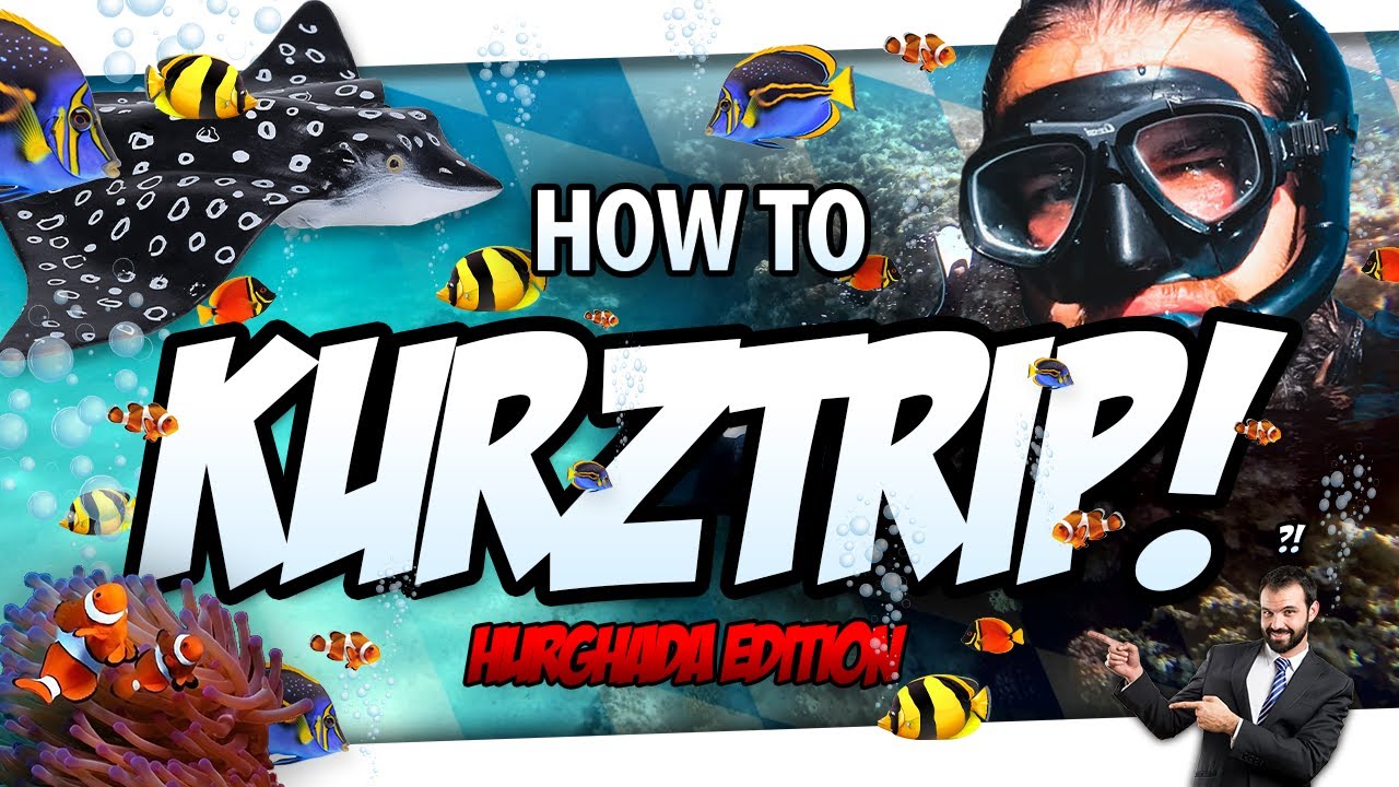 🎓 How to KURZTRIP!
