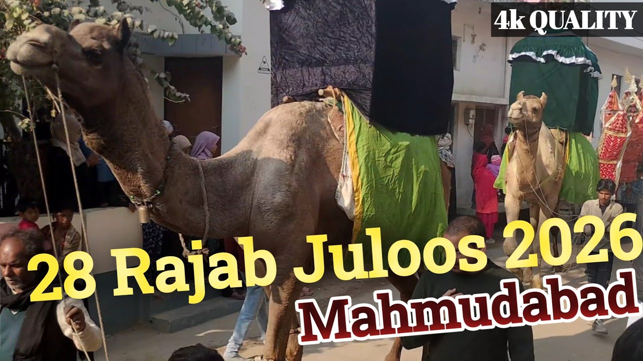 4k Quality Juloos 28 Rajab 2026 | Madeene Se Karbala Rawangi | Mahmudabad 