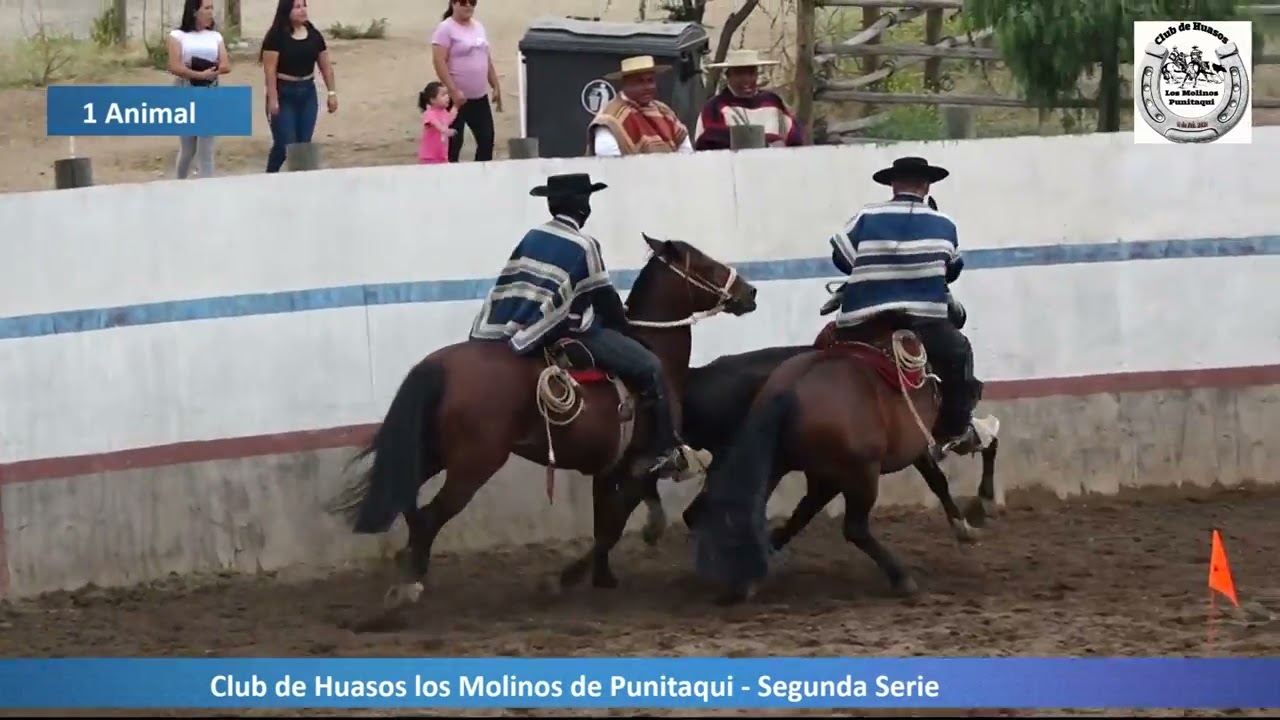 Club de Huasos Los Molinos de Punitaqui - Segunda Serie