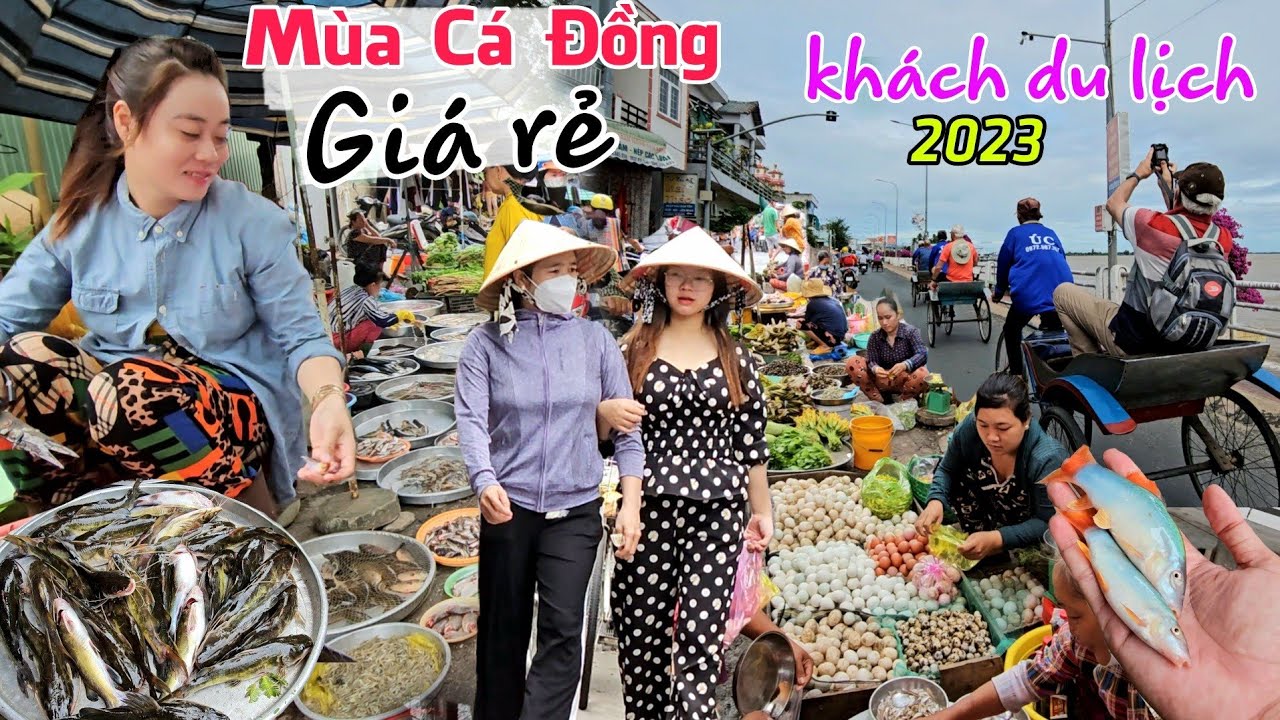 Chợ cá đồng GIÁ RẺ mùa lũ 2023 - Gặp mấy cô bán cá dễ thương ở chợ Ô Môi Tân Châu