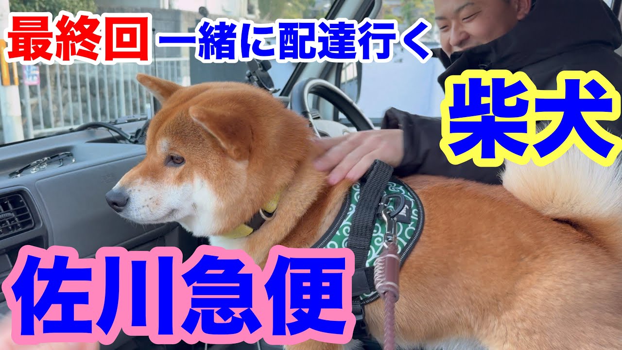 【最終回 後編】佐川急便さん一緒に配達行きたい！