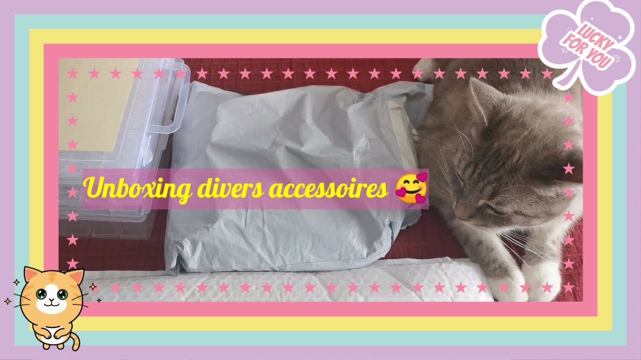 💎Diamond Painting Unboxing :Test toile de chez Huacan + divers accessoires!!!