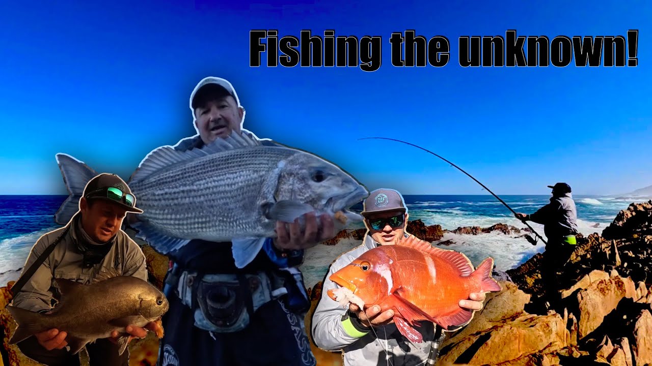 GALJOEN, RED ROMAN AND MUSSEL CRACKER. FISHING A PRISTINE COASTLINE! DEEP, SCARY FISHING SPOT!