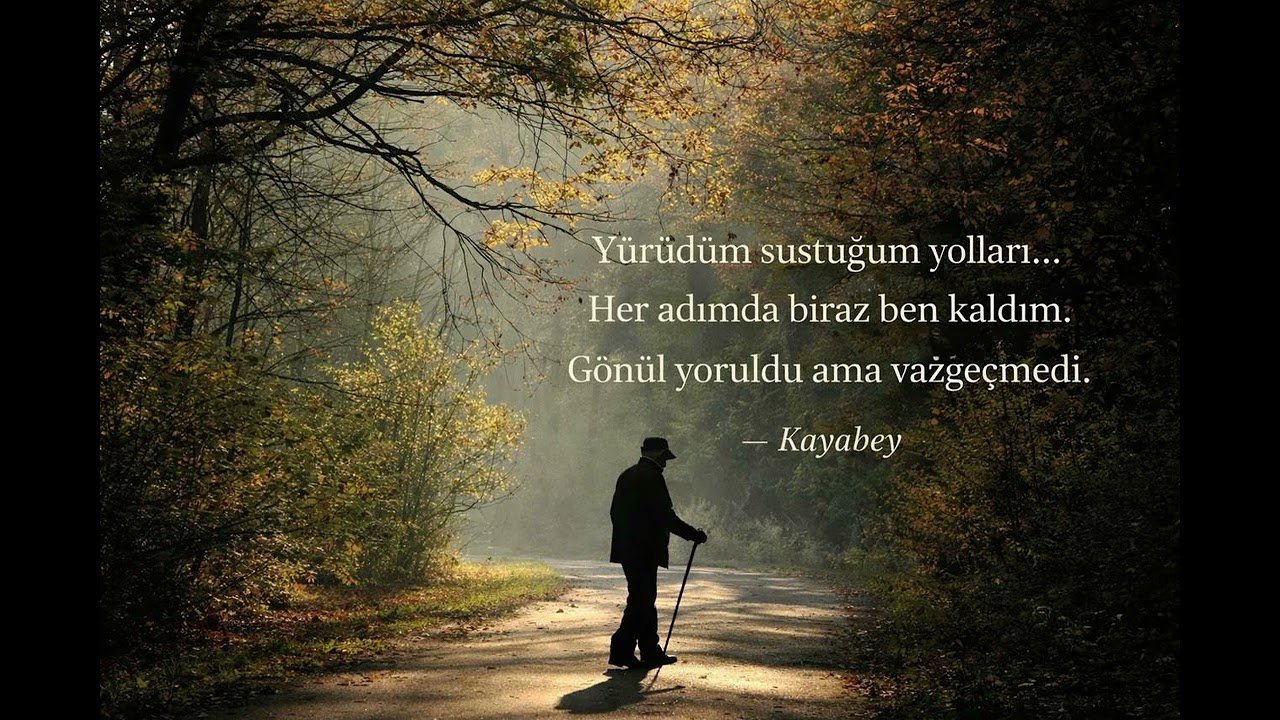 Bahar gitti, yaz tükendi ey gönül;