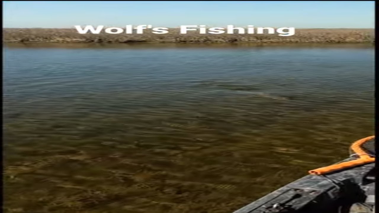 Shallow Redfish