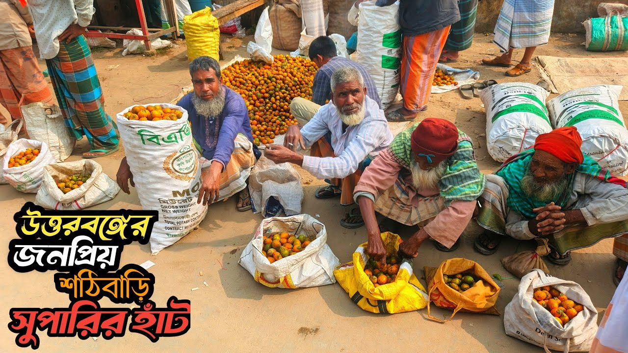 উত্তরবঙ্গের গ্রামীণ পান সুপারির বিশাল হাট |শঠিবারি পান সুপারির হাট| Rural Haat_ bazaar 