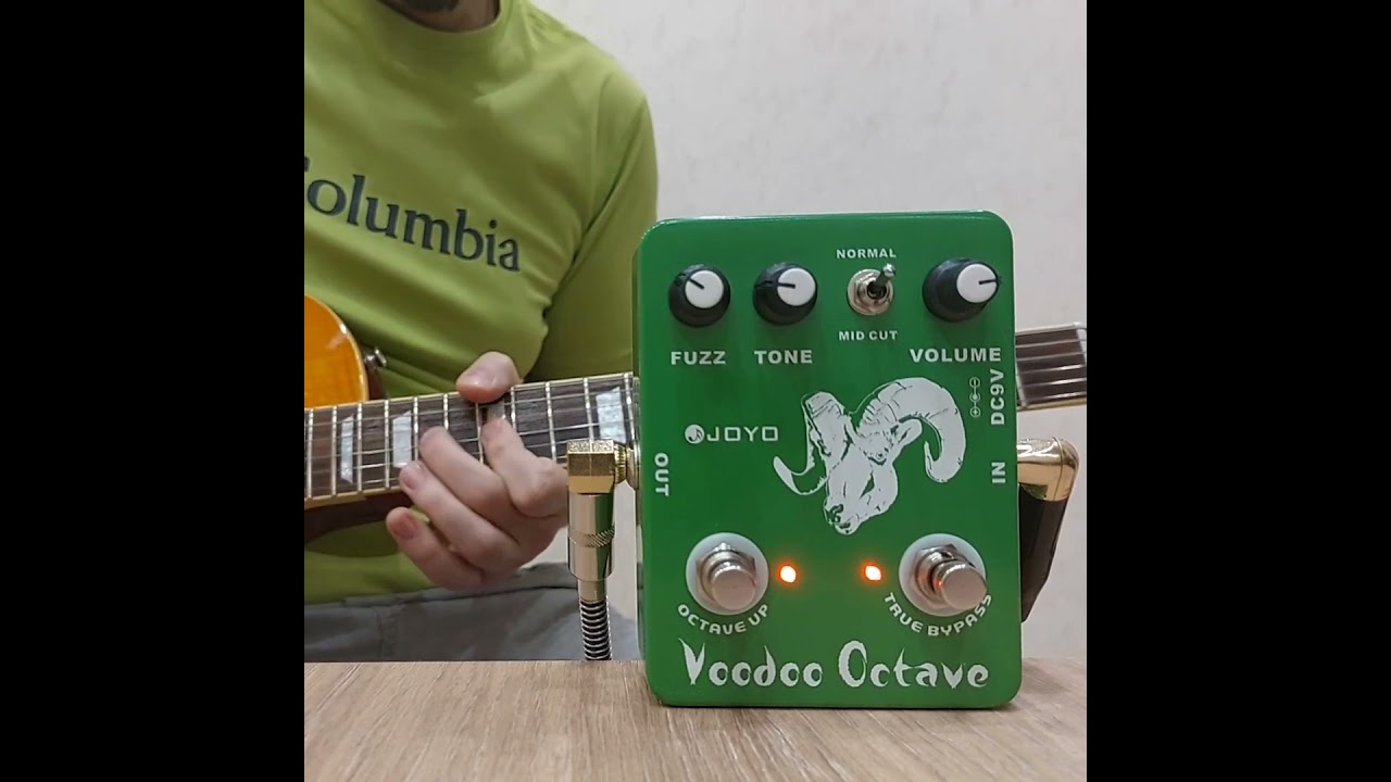 Joyo JF-12 Voodoo Octave vs Warm Audio Foxy Tone Box