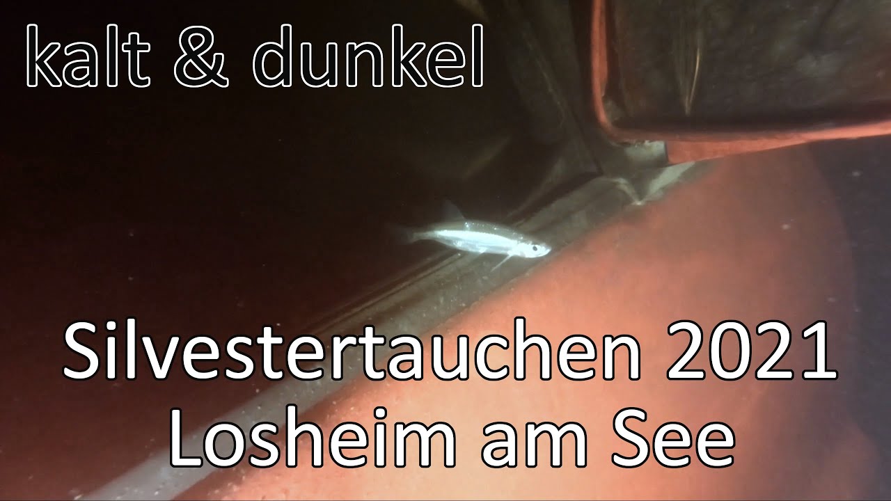 Silvestertauchen 2021 | Tauchen im Stausee Losheim