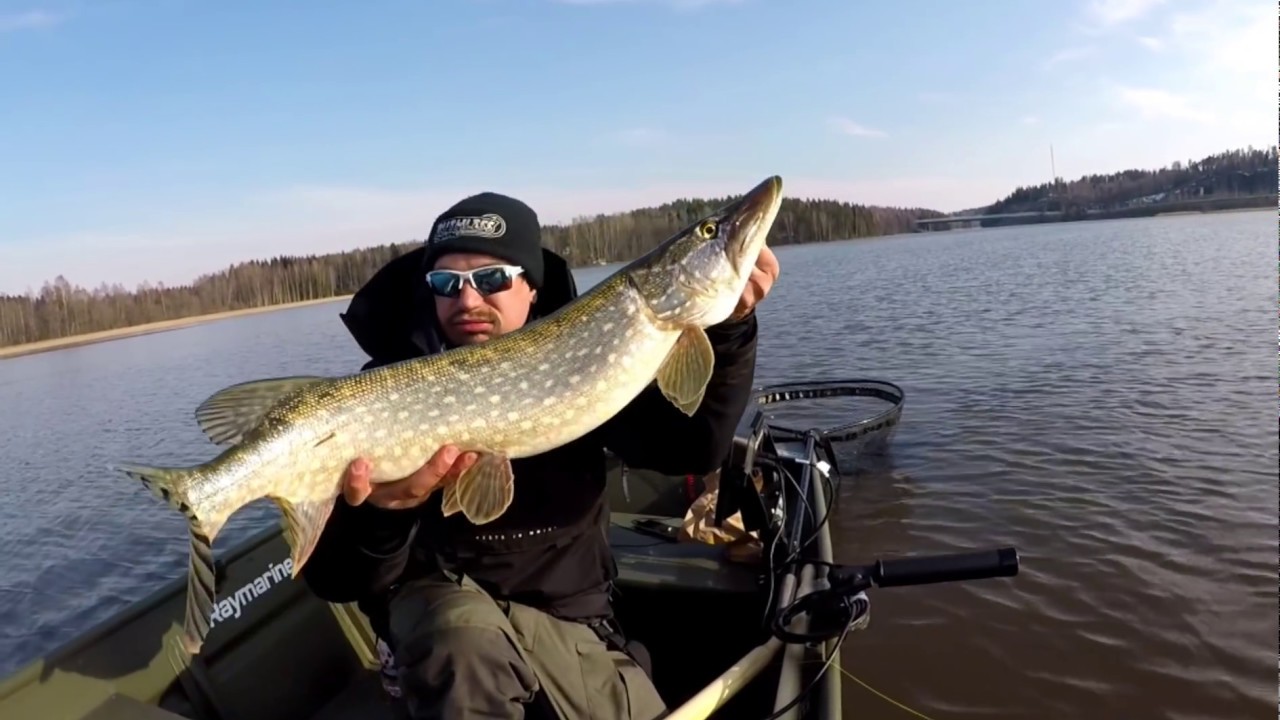 KEVÄT KALASTUSTA LOHJANJÄRVELLÄ