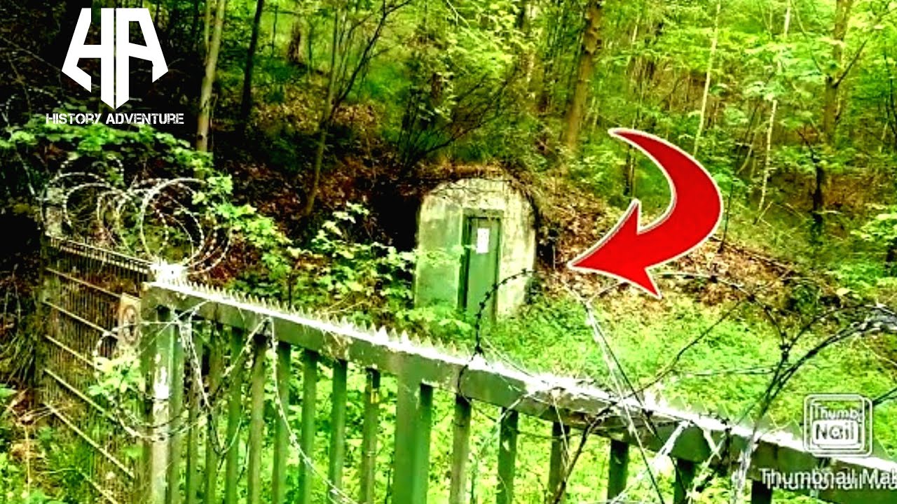 Beim Sondeln WW2 Bunker im SS Bereich gefunden, was versteckt sich unter der alten Buche❓