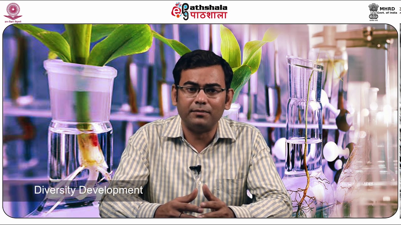 Increasing shelf life of fruits and flowers