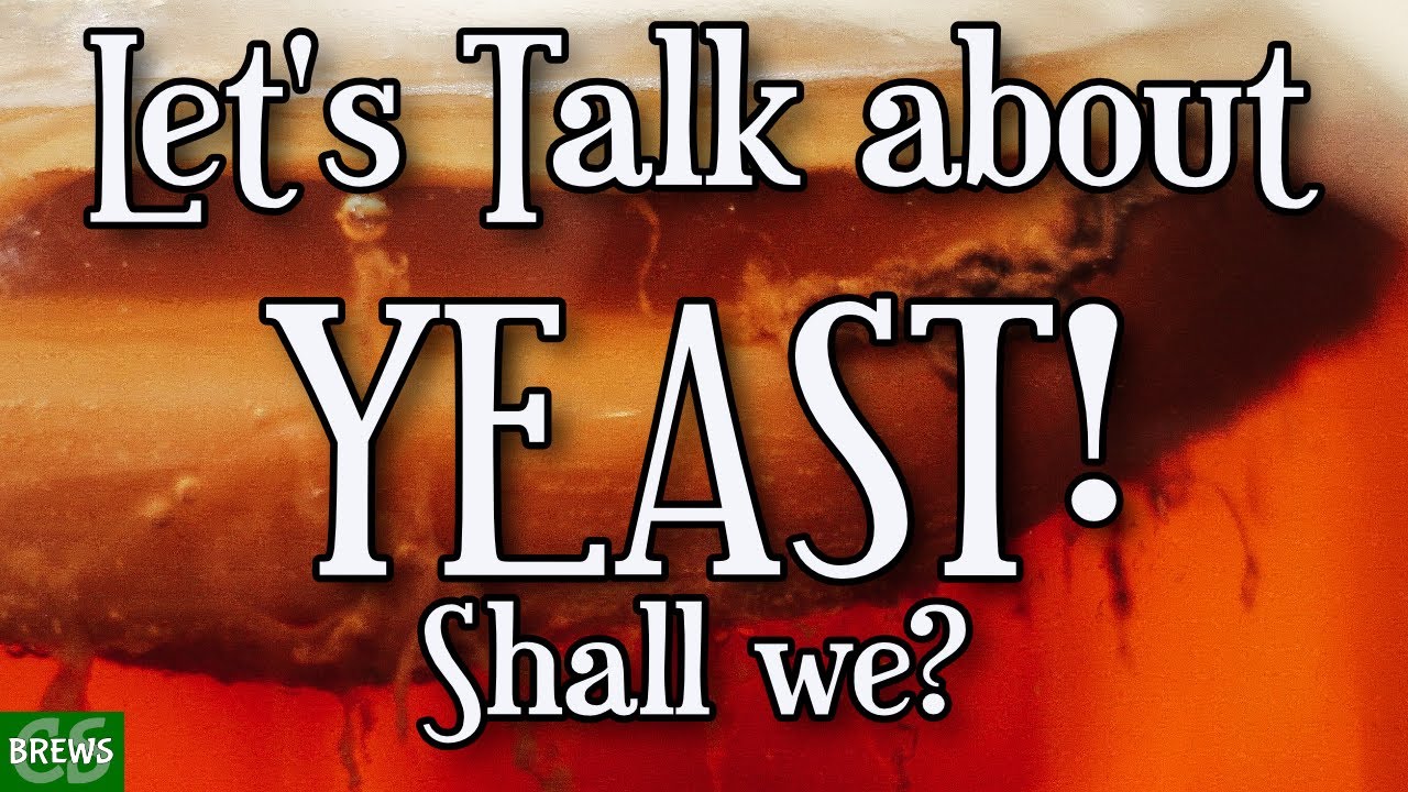 Yeasts we Use for Wine Cider and Mead - Demystifying Yeast Selection
