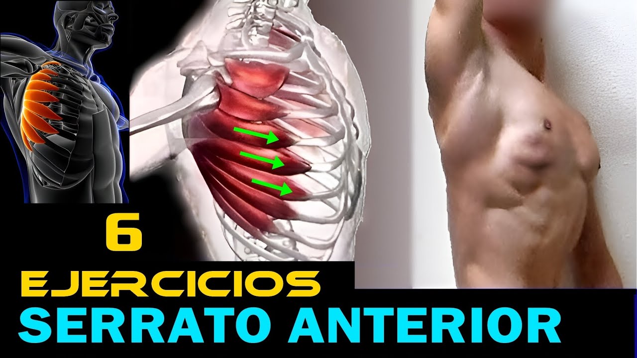 Serrato Anterior FUERTE - 6 Ejercicios Funcionales