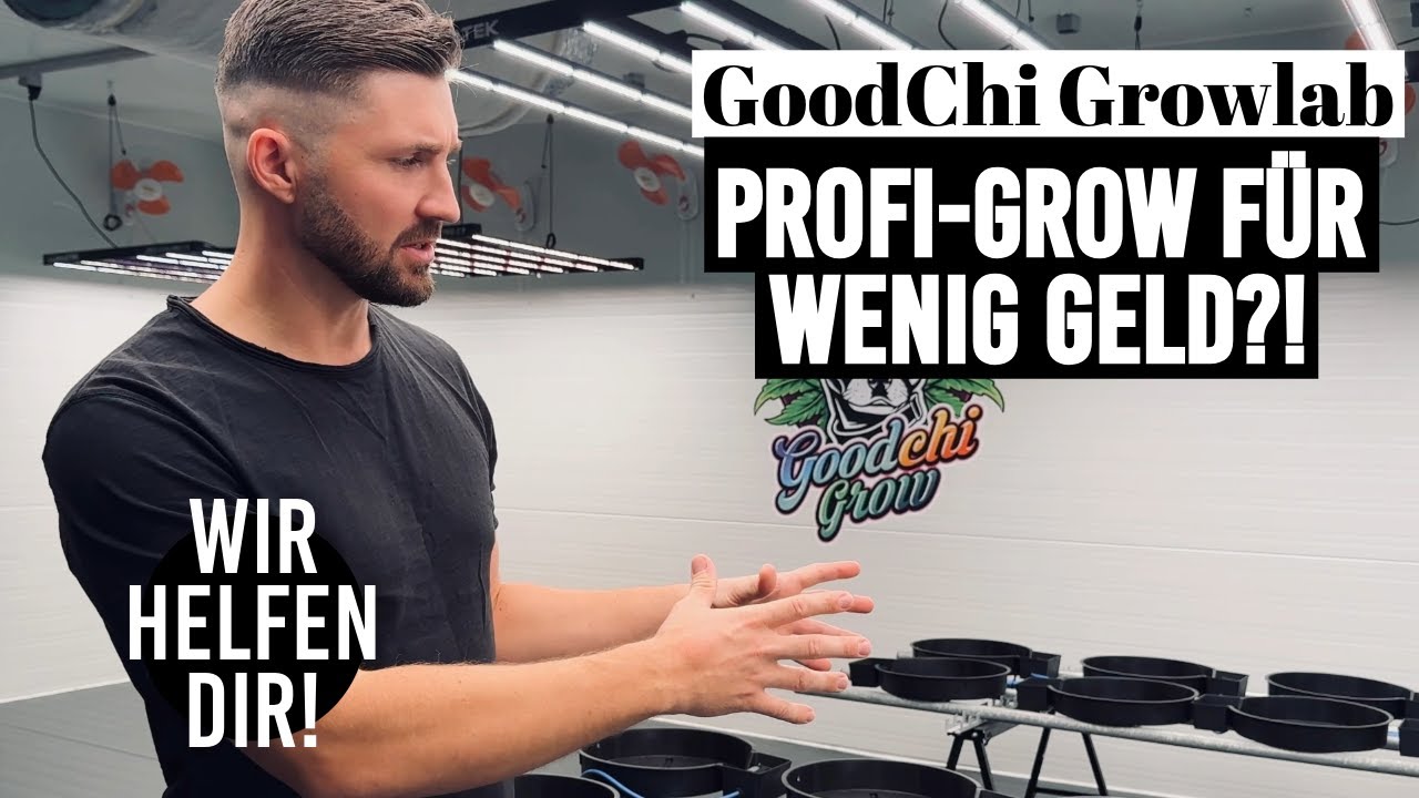 Die perfekte L&ouml;sung f&uuml;r CSCs &ndash; Das GoodChi GrowLab! 🌿💡