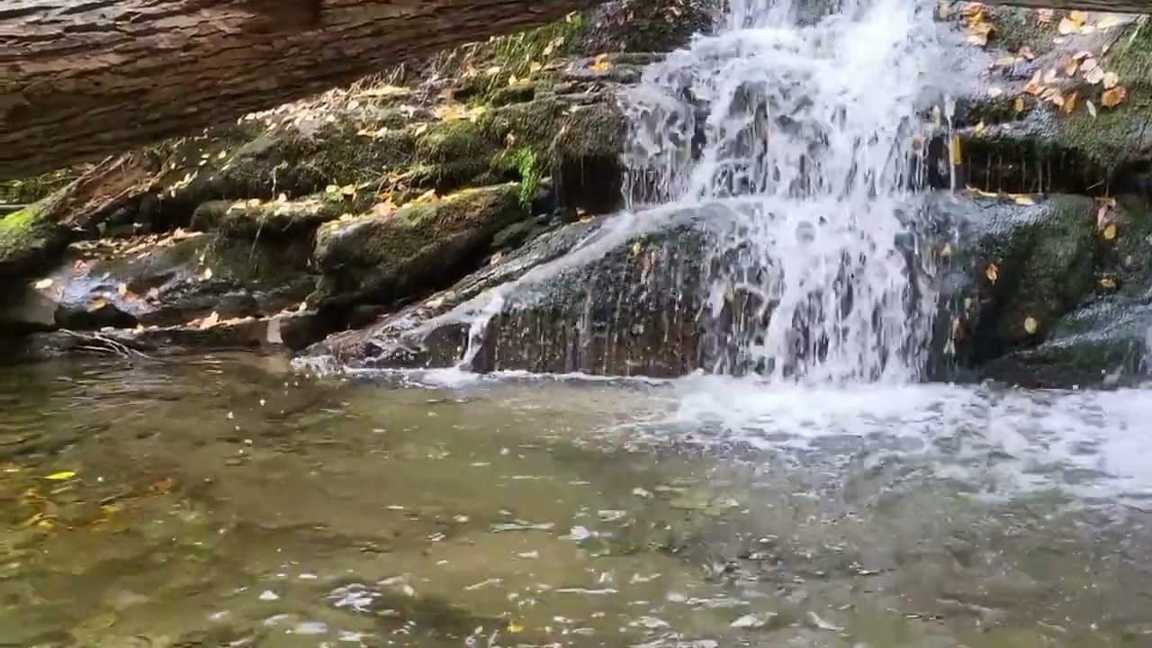 Calm Relaxing Piano #beautifulrelaxingmusic#soothingrelaxation#relaxing#pianomusic#piano#calmusic