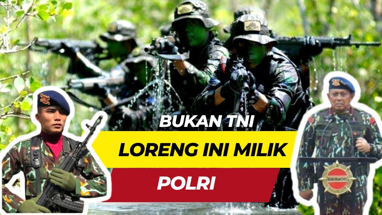 Polri memiliki Pasukan dengan seragam loreng seperti TNI