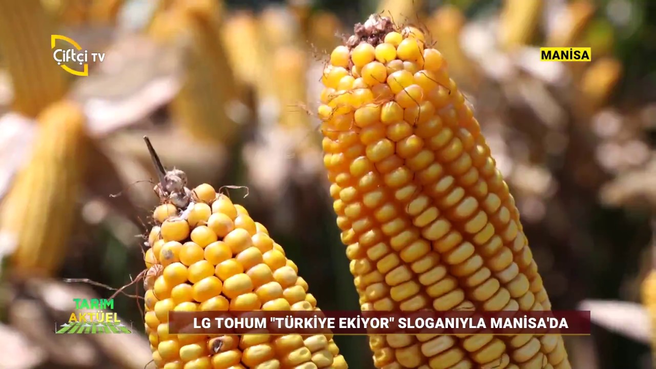 LG Tohum Manisa Buluşması / Çiftçi TV