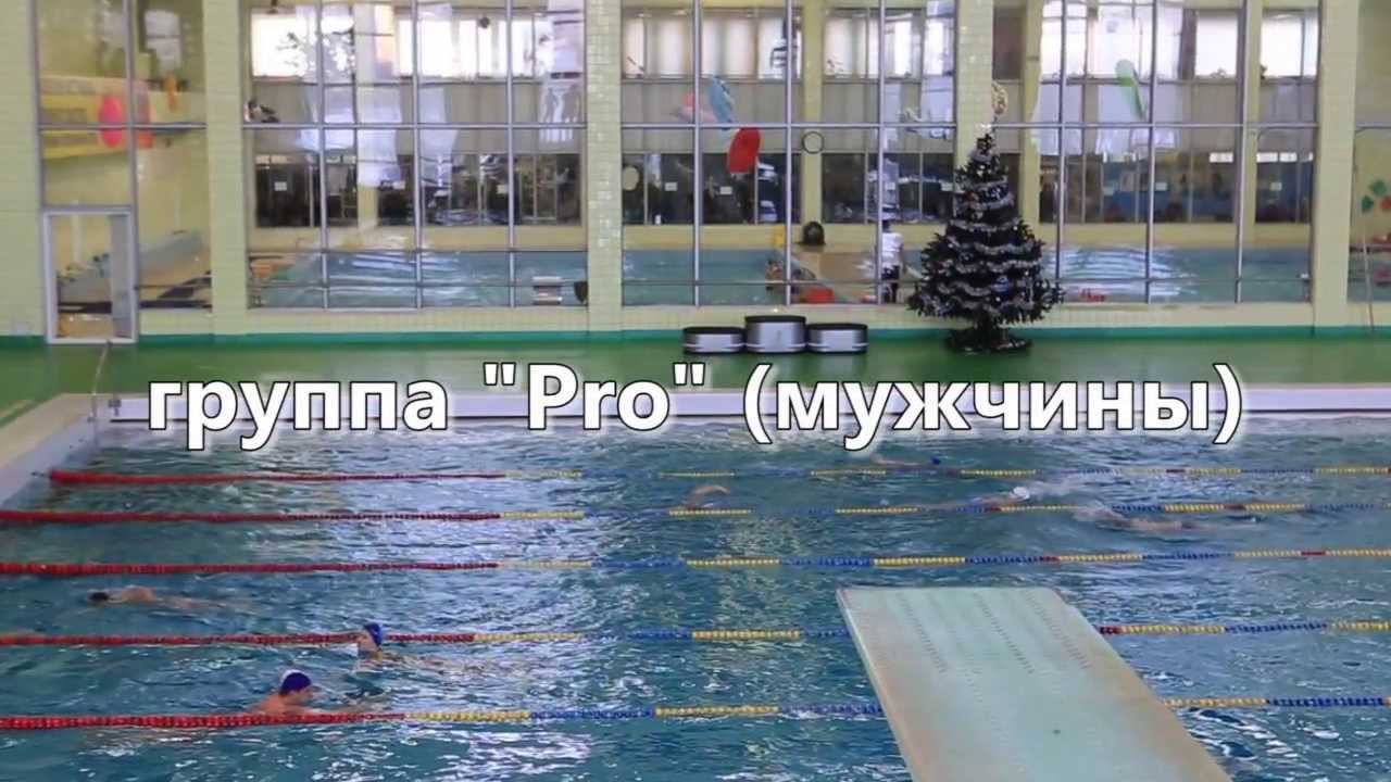 FlyDiving Cup 2013