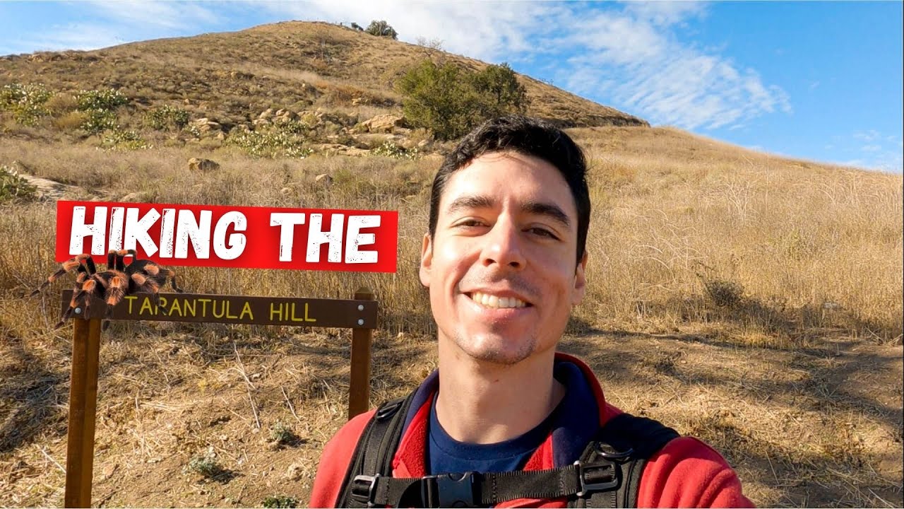 Tarantula Hill 2021 | Thousand Oaks, CA (4K)