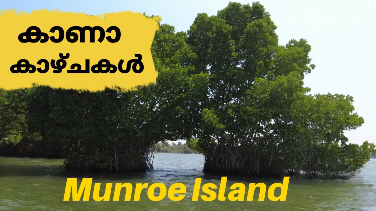 Exploring Munroe Island - A Hidden Paradise in Kerala | Scenic Backwaters & Village Life