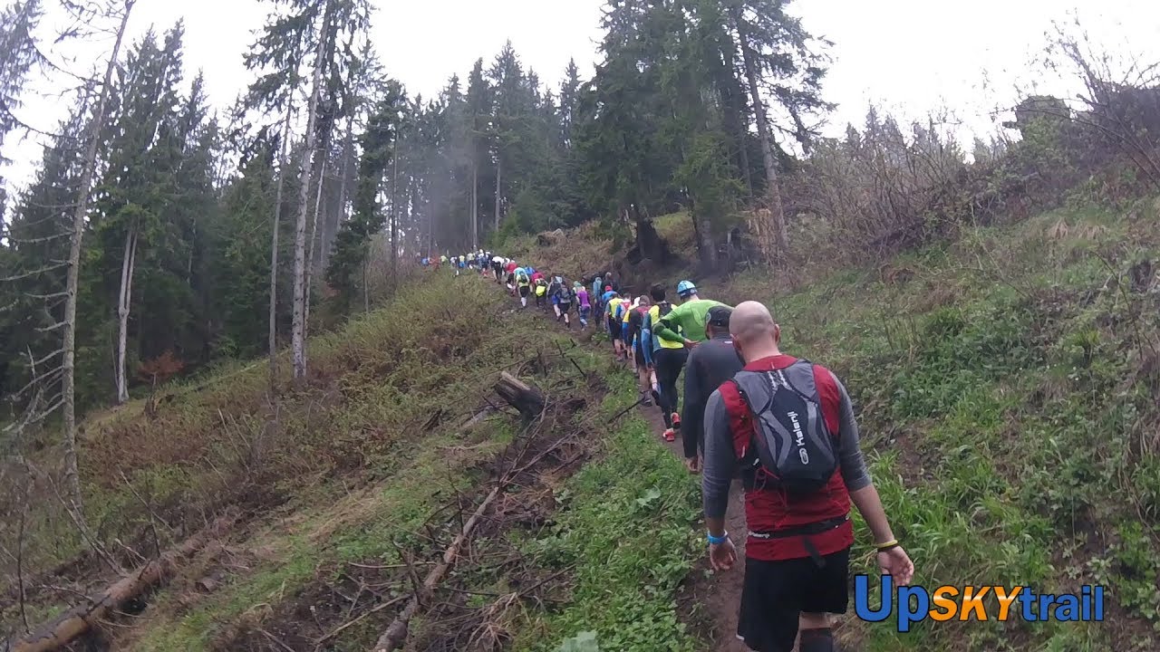 EcoMarathon Moieciu de Sus 2017 - Cross 14K