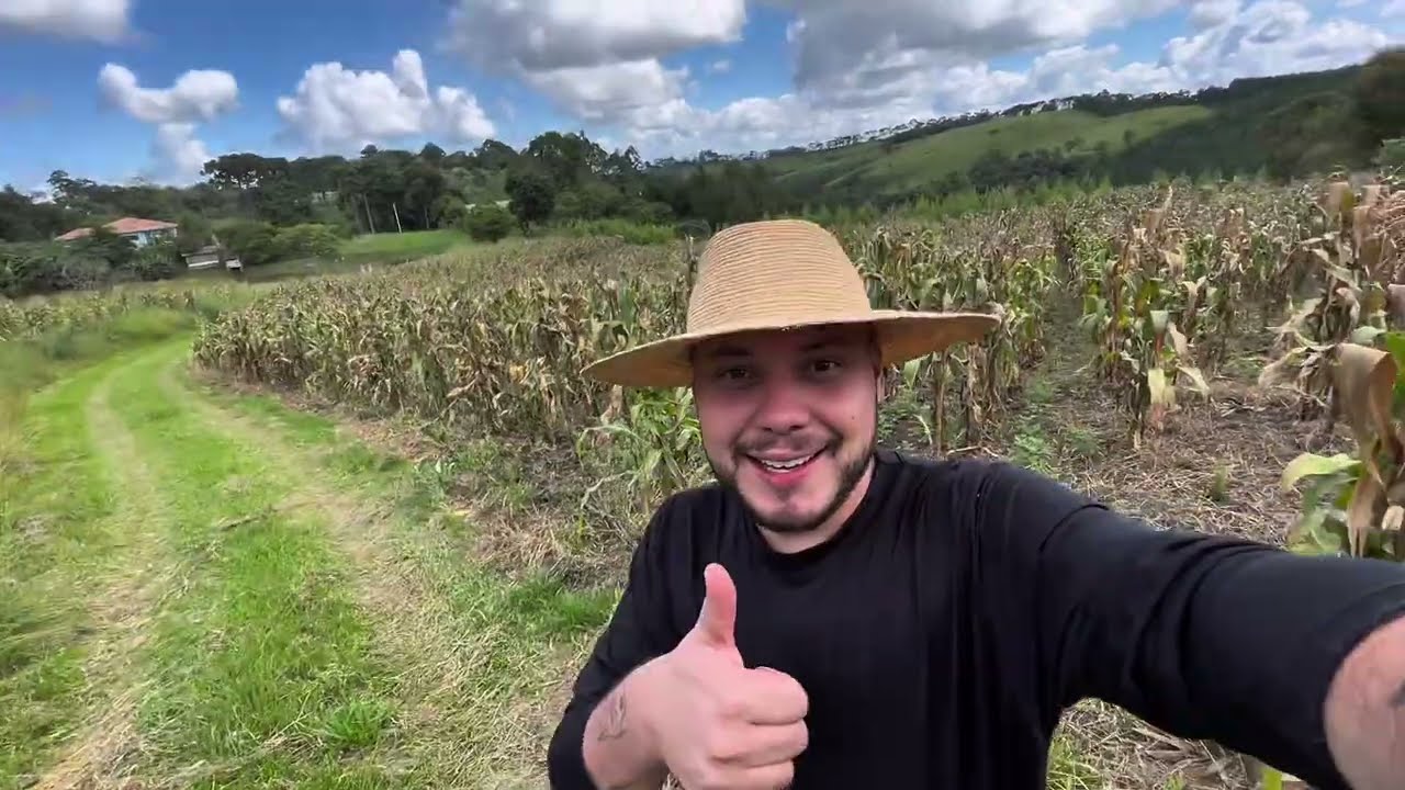 Mais uma rotina na roça | vem acompanhar ❤️🌽🐓