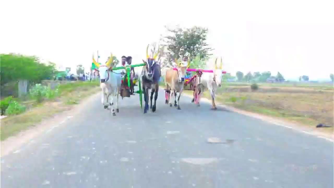 KRISH STUDIO Kattumavadi KSK rekla race's broadcast