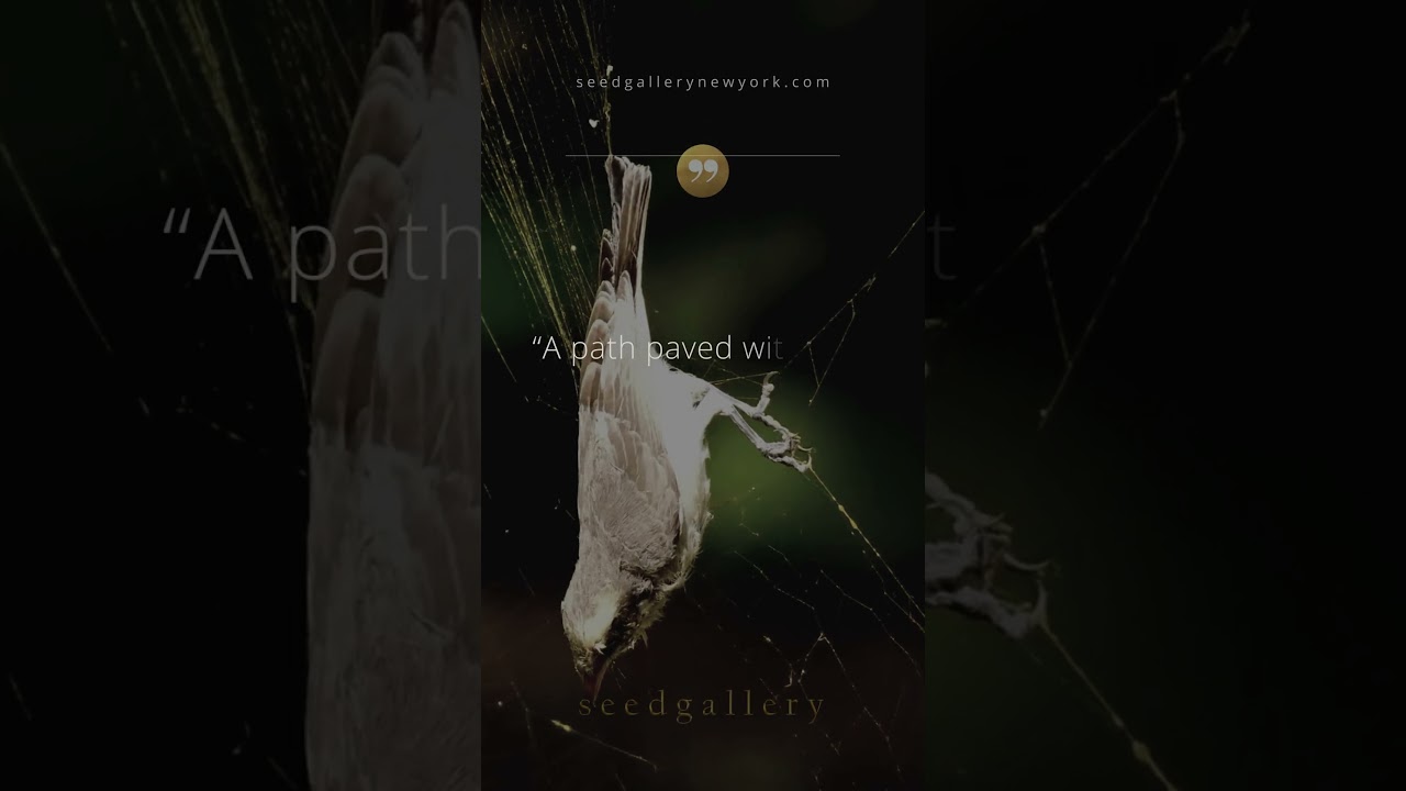 Light, To Expose All Snares | Seed Gallery 