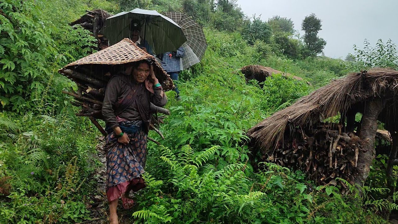 Very dangerous rain fall day | best rainy day in nepali himalayan village | rain season in nepal |