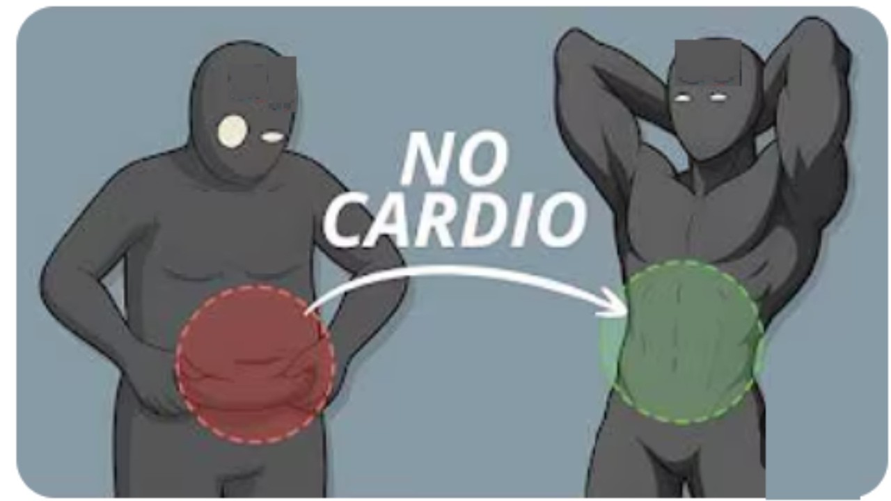 The #1 Method To Lose Belly Fat NO CARDIO