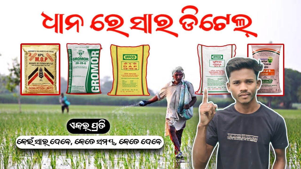 ଧାନ ରେ ସାର୍ | Fertilizer Management in paddy | @DRfarmingTv