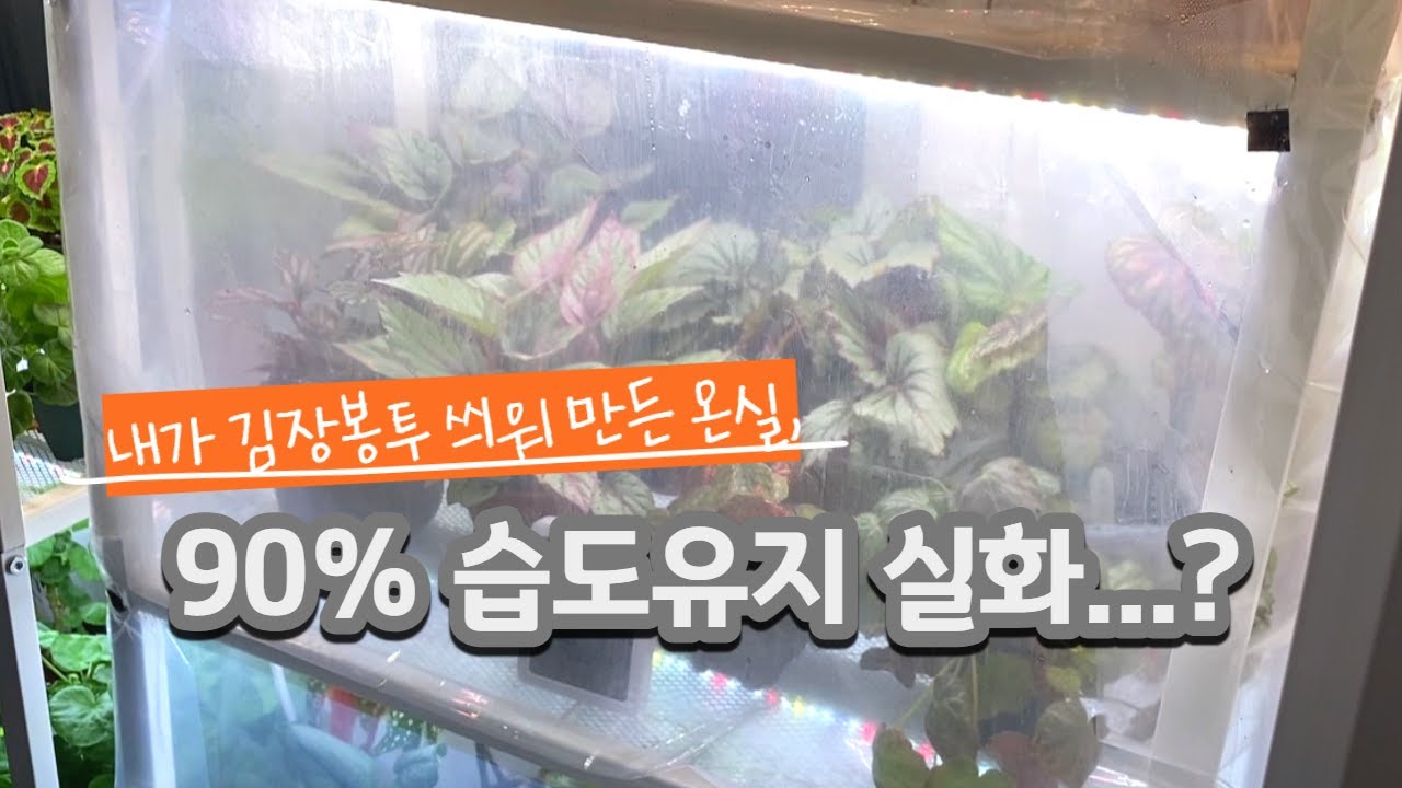 이케아 레르베리 선반을 온실로 만들어 볼까요? I 겨울철 베고니아, 열대 관엽 식물 등 습도유지가 필요한 식물들을 위한 꿀팁 I 겨울용 간이비닐온실 만들기 #풀나옴식물등
