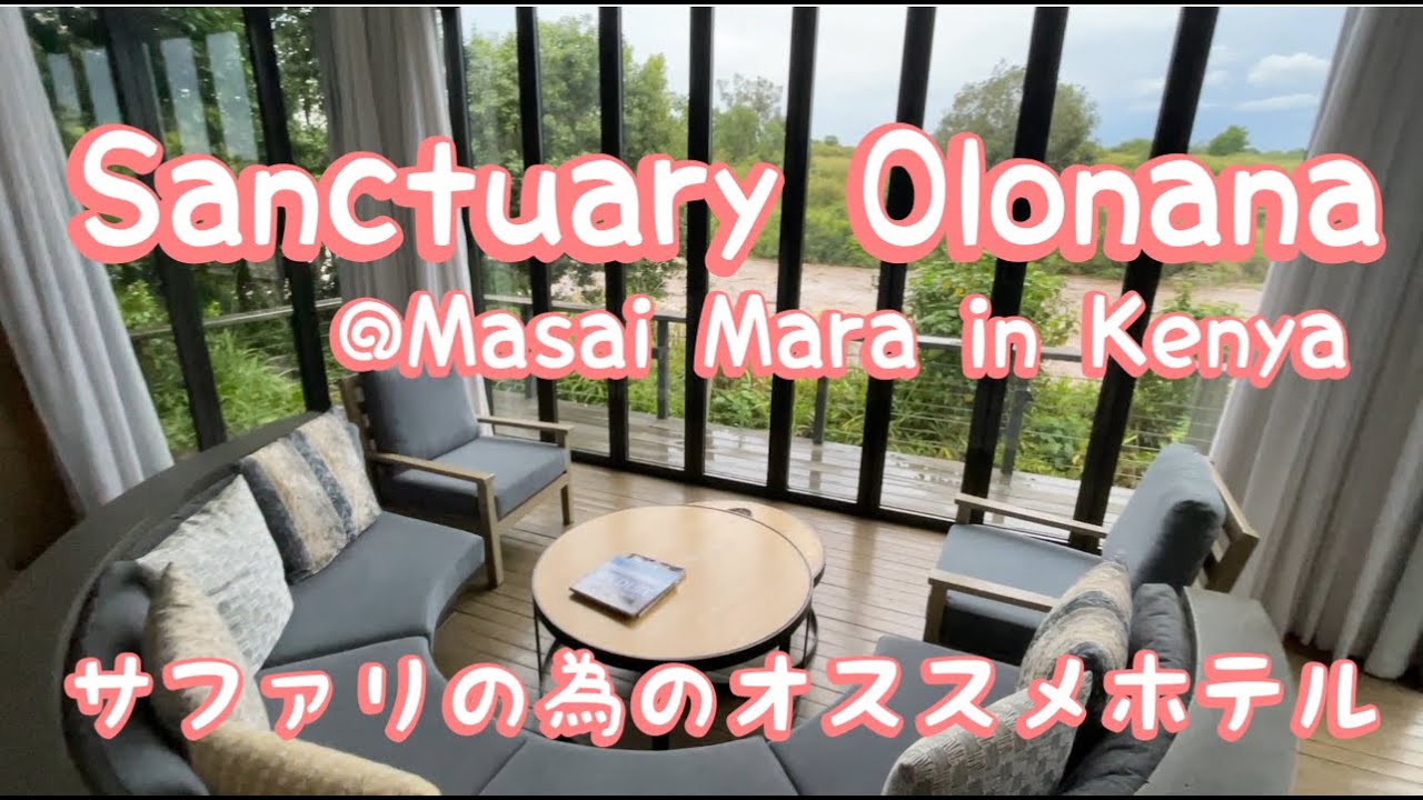 ケニア マサイマラ　大人気ゲームサファリ　行くならこのホテル！! ケニア Sanctuary Olonana @Masai Mara in Kenya