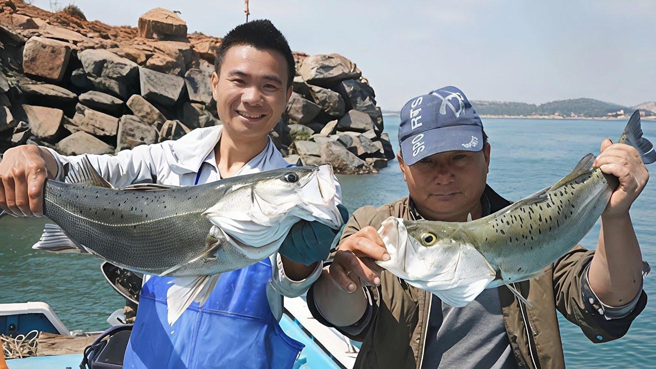 阿烽放鲈鱼扣抓到顶级好货，上岸就被老板订走，还吃了一顿大餐