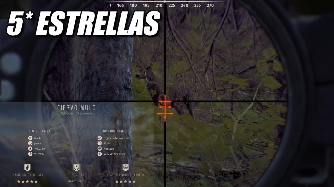 **CIERVO MULO 5 ESTRELLAS**   Way of the Hunter  Gameplay español