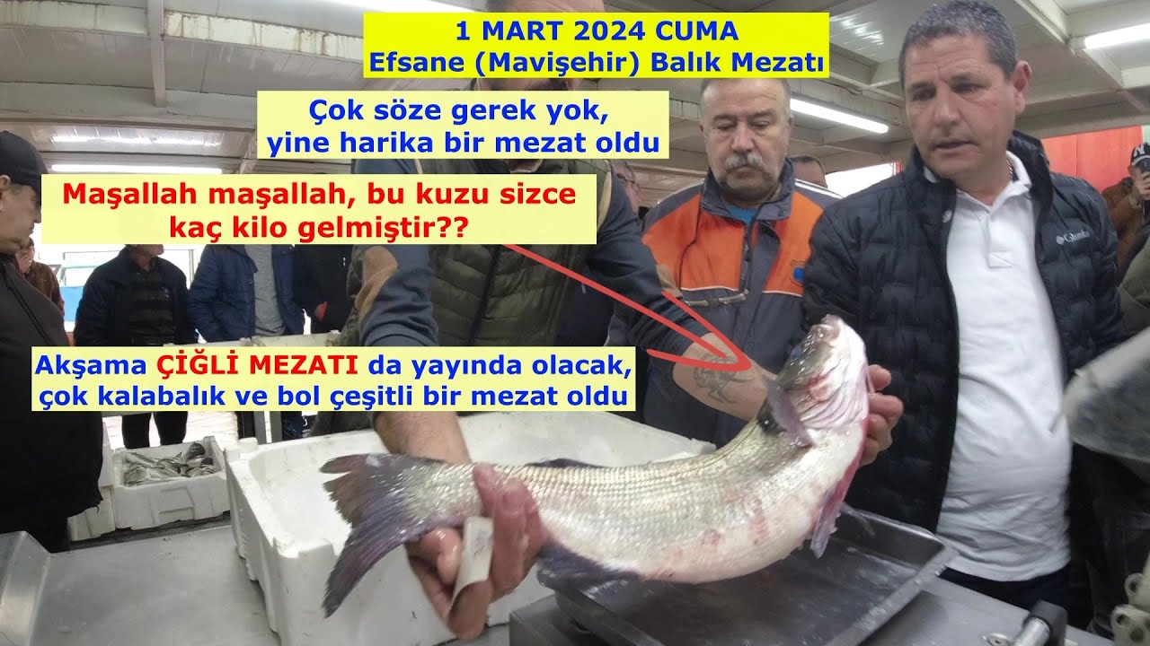 MAVİŞEHİR MEZAT YİNE HARİKAYDI. ABLAMIZ  FİYATLAR HERYERDE UÇUNCA PARAYI ÖDEMEDEN GİDİYORUM DEDİ .