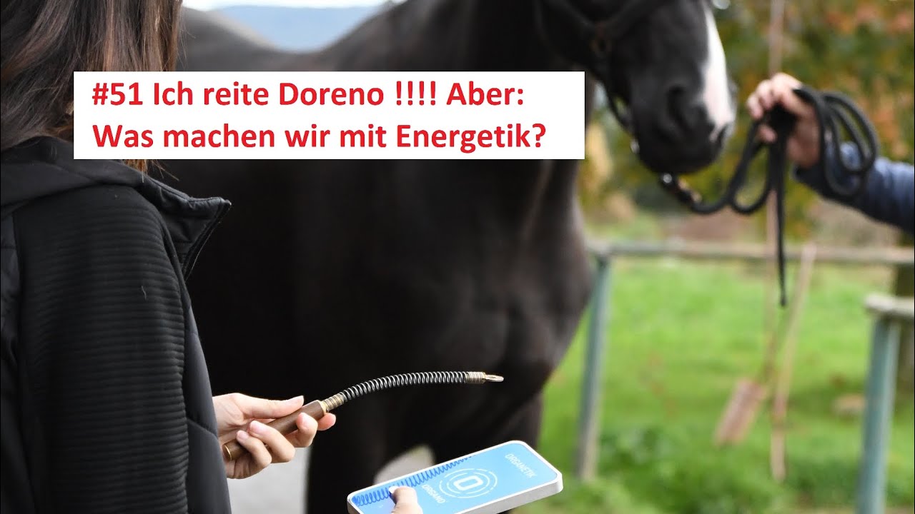 #41 Ich reite Doreno!!!