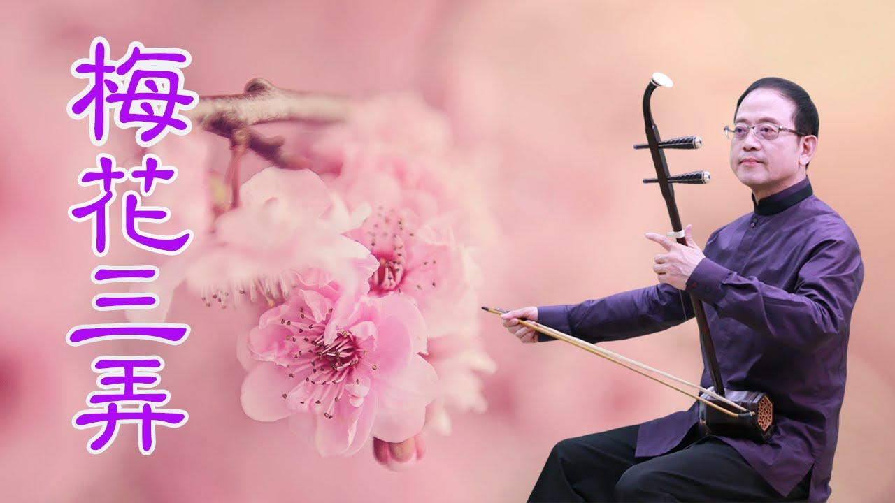 孫文軒二胡｜梅花三弄 (梅花烙片頭曲)｜Sun Wen-Xuan Erhu