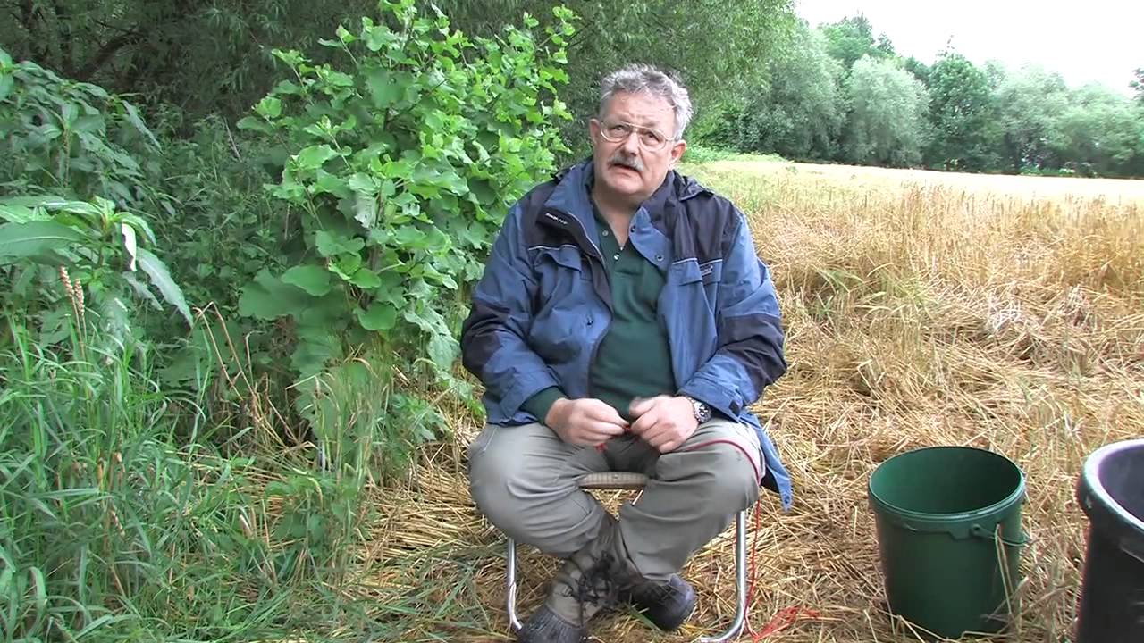 Krebse fischen.mov