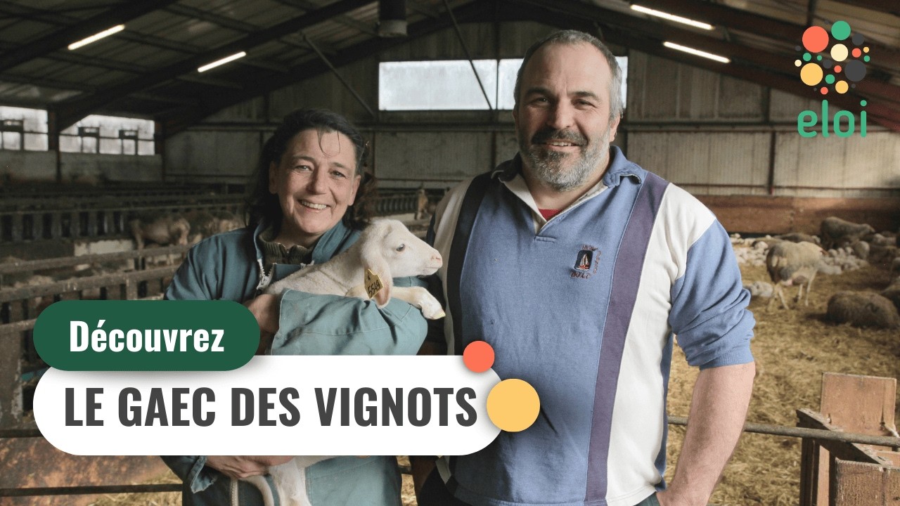 Bienvenue au GAEC des Vignots à Montlaur (12) 🐑