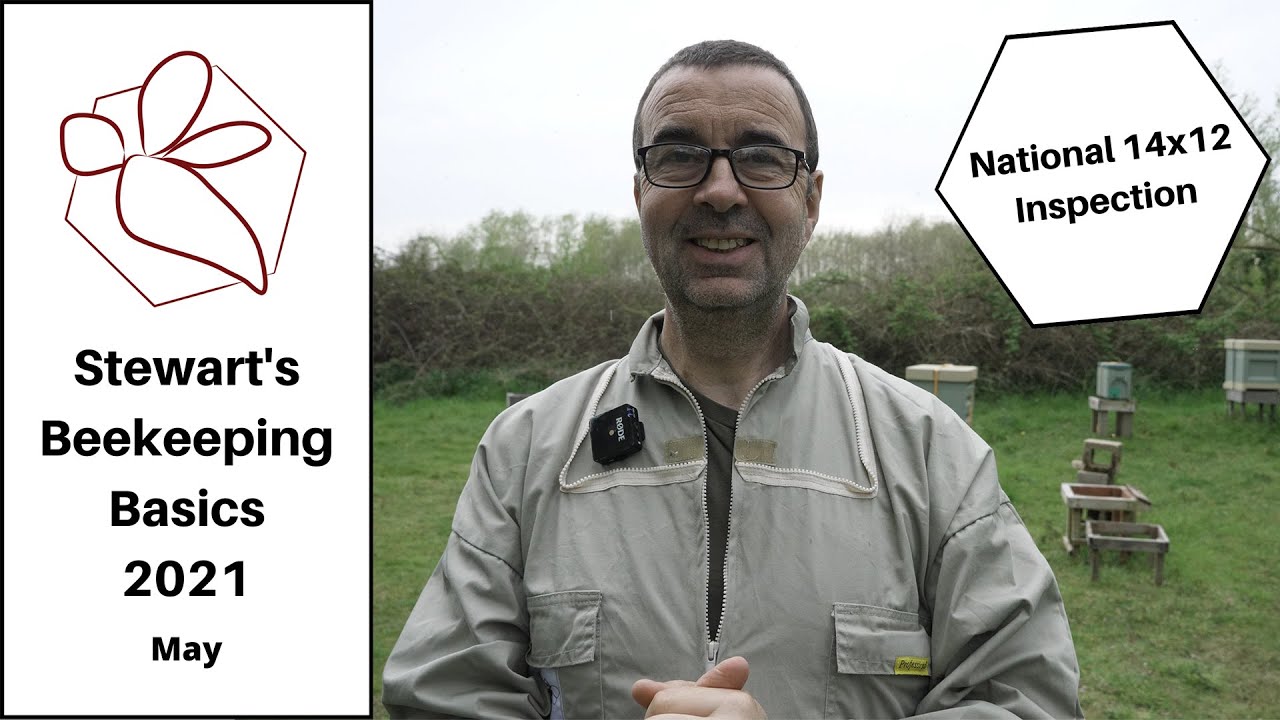 National 14x12 Hive Inspection - Stewart Spinks at The Norfolk Honey Co.