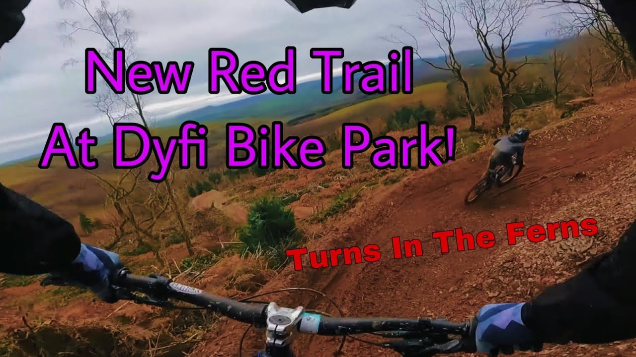 NEW DYFI BIKE PARK RED TRAIL *TERNS IN THE FERNS*