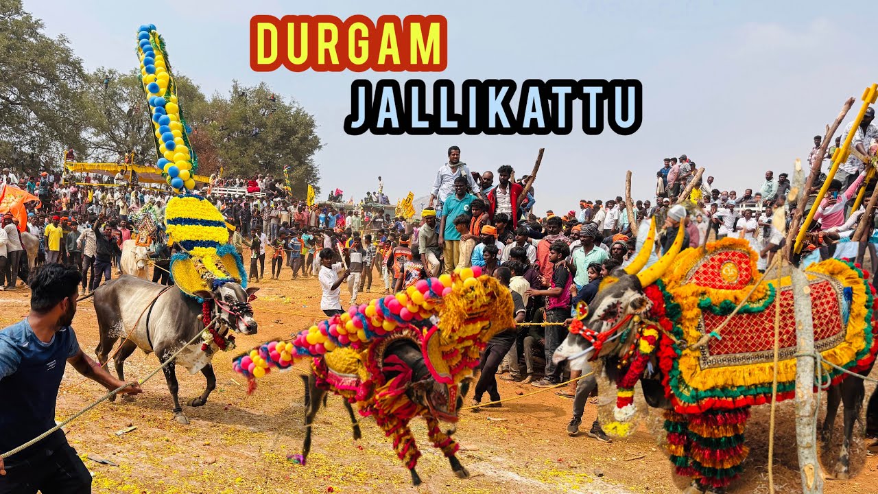 Durgam (துர்கம்)- Durgam Jallikattu Festival - Durgam Jallikattu 2022-Durgam-Trip Set #eruthukattu 