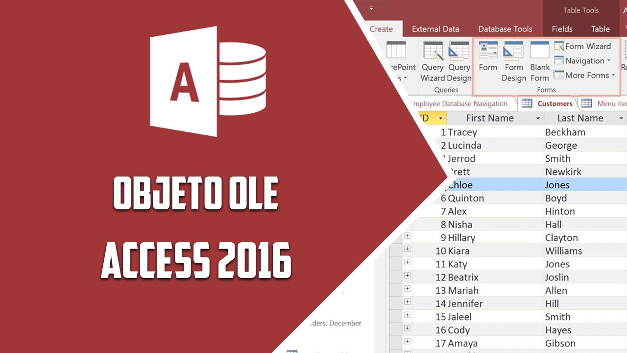 Access 2016 – Objeto OLE - Video 17