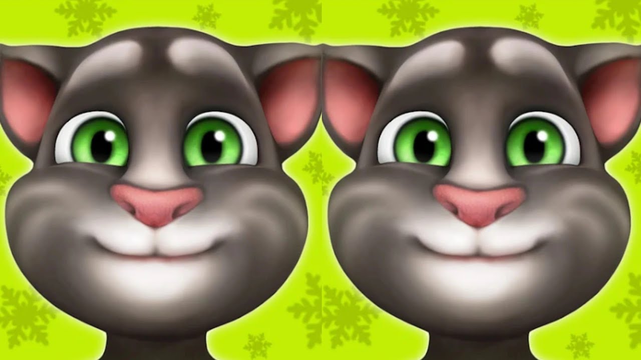 Tom and tom cat 