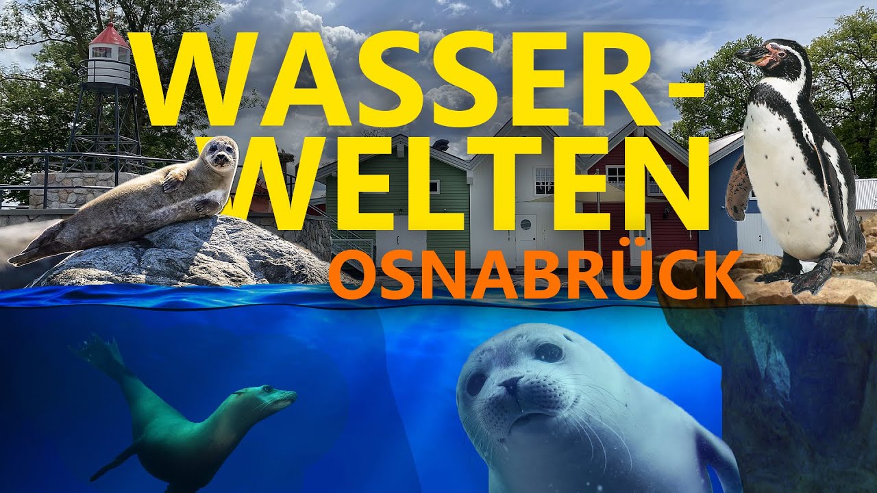 Was taugen die neuen Wasserwelten im Zoo Osnabrück?
