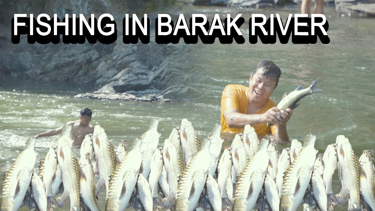 FISHING IN BARAK RIVER || BIG BIG FISH