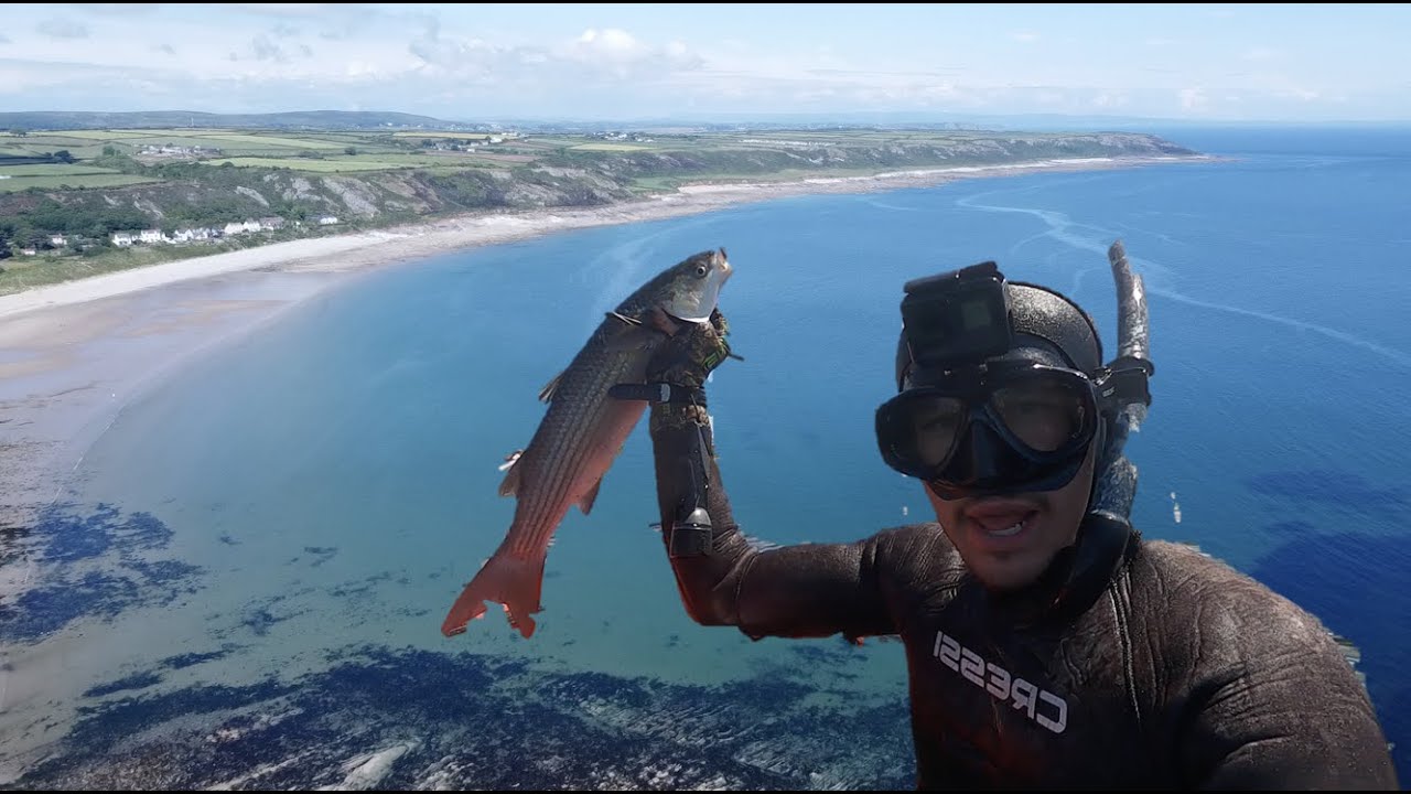 GIANT Grey Mullet - CATCH & COOK - Spearfishing SOUTH WALES!!! Port Eynon Spearfishing Wales.