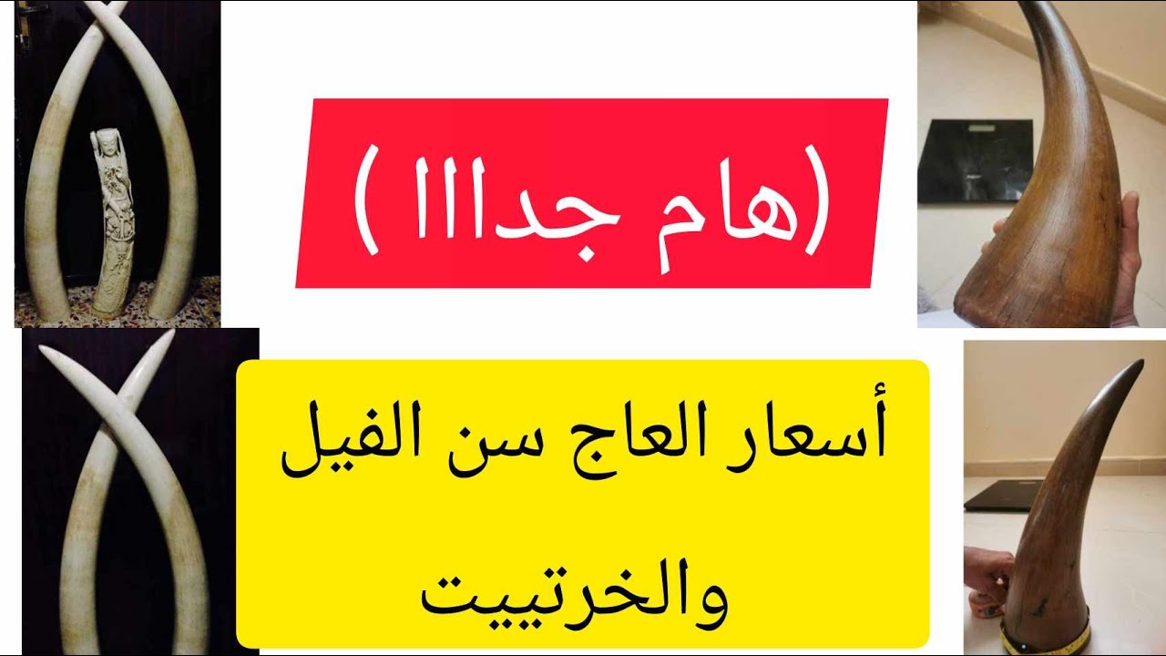اسعار العاج سن الفيل والخرتييت (هام جدا جدا )